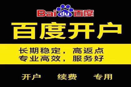 百度SEO推广公司案例分享：实战优化策略解析